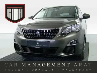 Gebraucht Peugeot 3008 Active 131 PS (96 kW) 2020 Grau (metallic) SUV