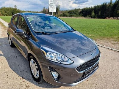 Gebraucht Ford Fiesta Cool & Connect 86 PS (63 kW) 2018 Grau Kleinwagen