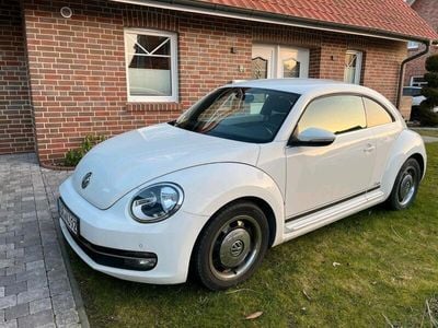 VW Beetle