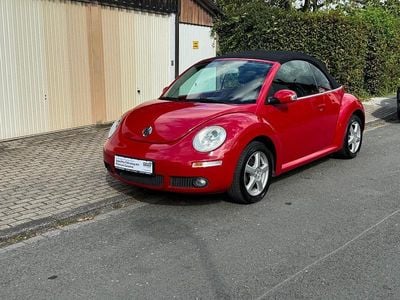 VW Beetle