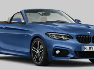 Gebraucht BMW 220 M Sport 190 PS (139 kW) 2020 Estorilblau (metallic) Cabrio
