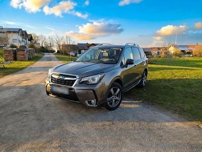 Gebraucht Subaru Forester Sport 241 PS (177 kW) 2019 Bronze SUV