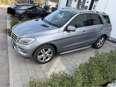 Silber Gebraucht 2014 Mercedes ML350 SUV | 17.400 € (Etwas zu teuer)