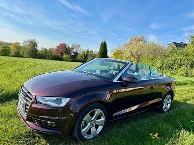Gebraucht Audi A3 Cabriolet Ambition 140 PS (102 kW) 2014 Violet Cabrio
