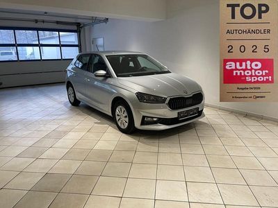 Gebraucht Skoda Fabia Selection 95 PS (69 kW) 2024 Silber metallic Kleinwagen