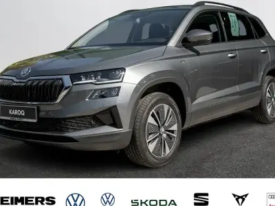 Neu Skoda Karoq Selection 150 PS (110 kW) 2026 Grau SUV