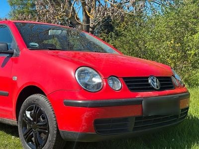 Usata VW Polo 75 CV (55 kW) 2003 Rosso Utilitaria