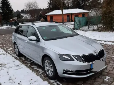 Gebraucht Skoda Octavia Style 150 PS (110 kW) 2019 Silber Kombi