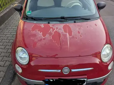 Gebraucht Fiat 500 Lounge 69 PS (50 kW) 2009 Rot Cabrio