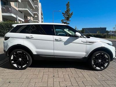 Gebraucht Land Rover Range Rover evoque Pure 150 PS (110 kW) 2016 Weiß SUV