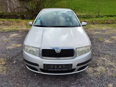 Brugt Skoda Fabia