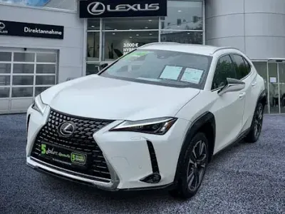 Gebraucht Lexus UX 250h 184 PS (135 kW) 2023 Weiß SUV