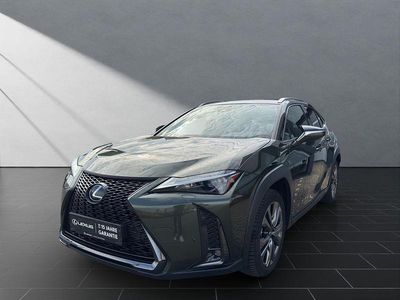Gebraucht Lexus UX 250h Sport Design Packet 184 PS (135 kW) 2023 Grün SUV