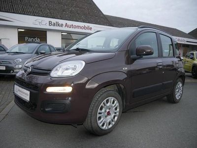 Marrone braun Gebraucht 2013 Fiat Panda Lounge Kleinwagen | 5.990 € (Etwas zu teuer)