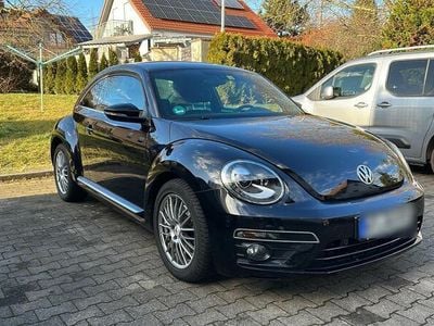 VW Beetle