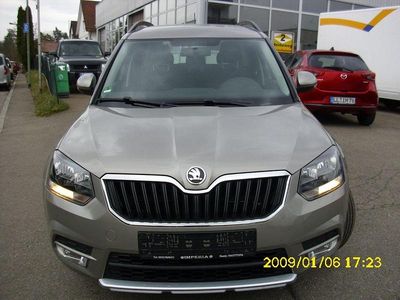 Usata Skoda Yeti Active 105 CV (77 kW) 2014 Beige SUV