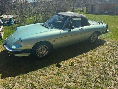 Gebraucht Alfa Romeo Spider 126 PS (92 kW) 1986 Grün Cabrio