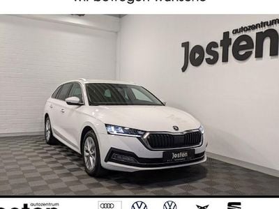 Gebraucht Skoda Octavia Style 116 PS (85 kW) 2023 Candyweiss Kombi