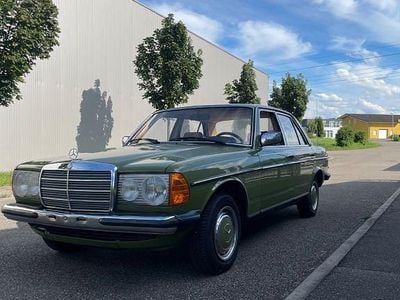 Grün Gebraucht 1981 Mercedes E230 Limousine | 10.000 €