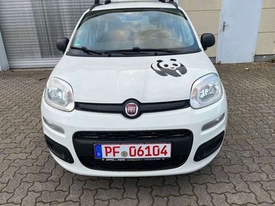 gebraucht Fiat Panda Panda My