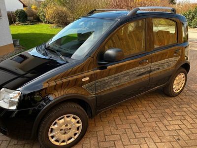 gebraucht Fiat Panda 4x4 1.2 8V Climbing schwarz