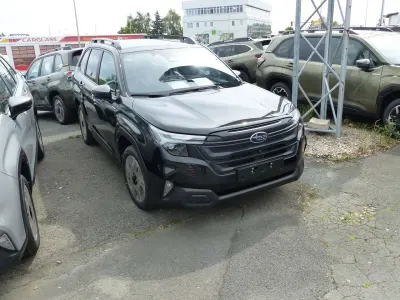 Gebraucht Subaru Forester
