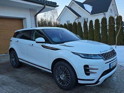 Weiß Gebraucht 2019 Land Rover Range Rover evoque SE Dynamic SUV | 26.900 € (Superpreis)