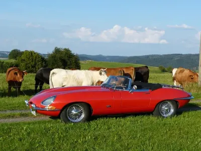 Gebraucht Jaguar E-Type 209 PS (153 kW) 1967 Rot Cabrio