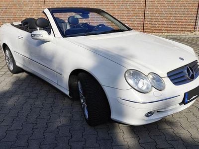 Gebraucht Mercedes CLK320 Elegance 218 PS (160 kW) 2003 Weiß Cabrio