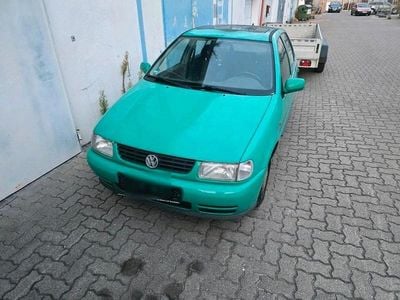 VW Polo