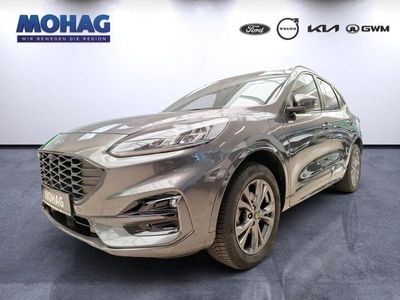 Gebraucht Ford Kuga ST-Line X 224 PS (164 kW) 2022 Grau SUV