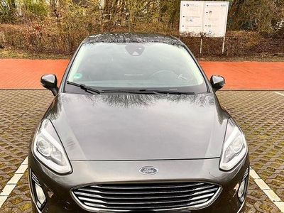 Gebraucht Ford Fiesta Titanium 101 PS (74 kW) 2017 Grau Kleinwagen
