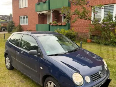 Brugt VW Polo