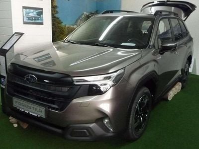 Neu Subaru Forester Exclusive+ 136 PS (100 kW) 2025 Brilliant bronze SUV
