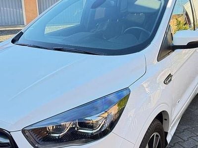 Gebraucht Ford Kuga ST-Line 180 PS (132 kW) 2019 Weiß SUV
