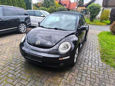 VW Beetle