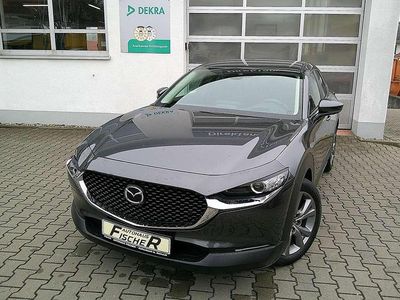 Gebraucht Mazda CX-30 Selection 186 PS (136 kW) 2022 Machine grey SUV