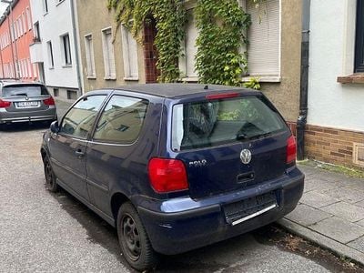 VW Polo