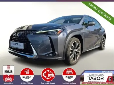 Gebraucht Lexus UX 250h Luxury Line 178 PS (130 kW) 2019 Grau SUV