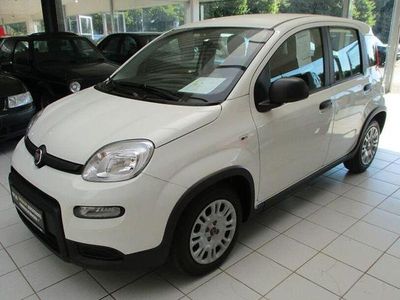 Second-hand Fiat Panda 69 CP (50 kW) 2024 Alb Hatchback
