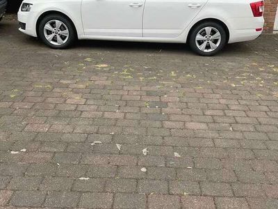 gebraucht Skoda Octavia Combi 2.0 TDI Green tec Elegance