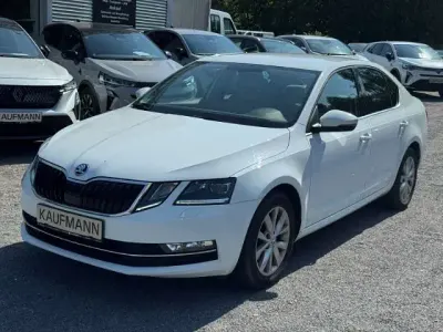 Gebraucht Skoda Octavia