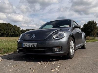 VW Beetle