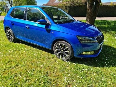 Usata Skoda Fabia Best of 95 CV (69 kW) 2021 Blu Utilitaria