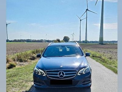 Gebraucht Mercedes 220 170 PS (125 kW) 2014 Blau Kombi