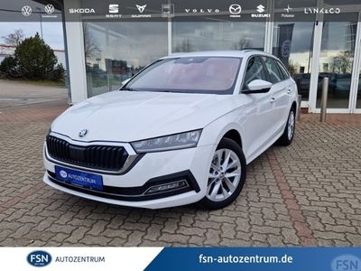 Gebraucht Skoda Octavia Style 116 PS (85 kW) 2022 Weiß (candyweiss) Kombi