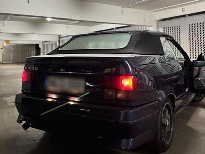 Blau Gebraucht 1992 Renault 19 Cabrio | 4.400 €
