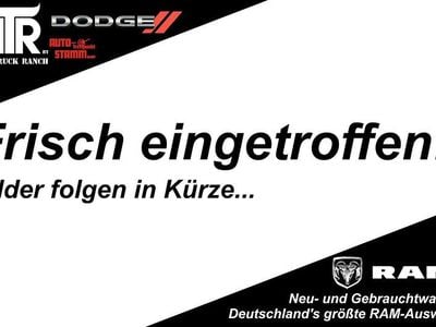 Gebraucht Skoda Fabia Ambition 65 PS (47 kW) 2022 Grau Kleinwagen