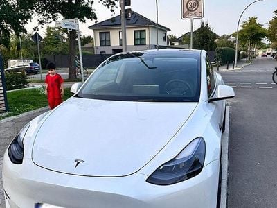 Gebraucht Tesla Model Y RWD 219 kW (299 PS) 2023 Weiß SUV