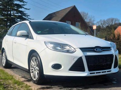 Gebraucht Ford Focus 105 PS (77 kW) 2014 Weiß Kombi